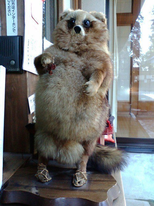 photo Which Botched Taxidermy Are You 30 bad taxidermy pictures that are both terrifying and hilarious