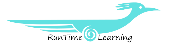RunTime Learning