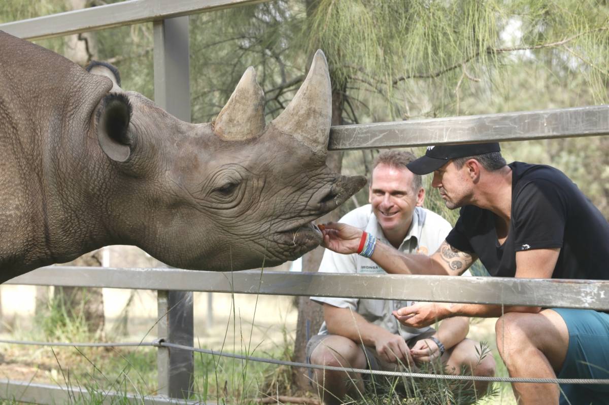 "Save the Rhino" ডকুমেন্ট্ৰীত থাকিব ক্ৰিকেটাৰ কেবিন পীটাৰসনঃ 1