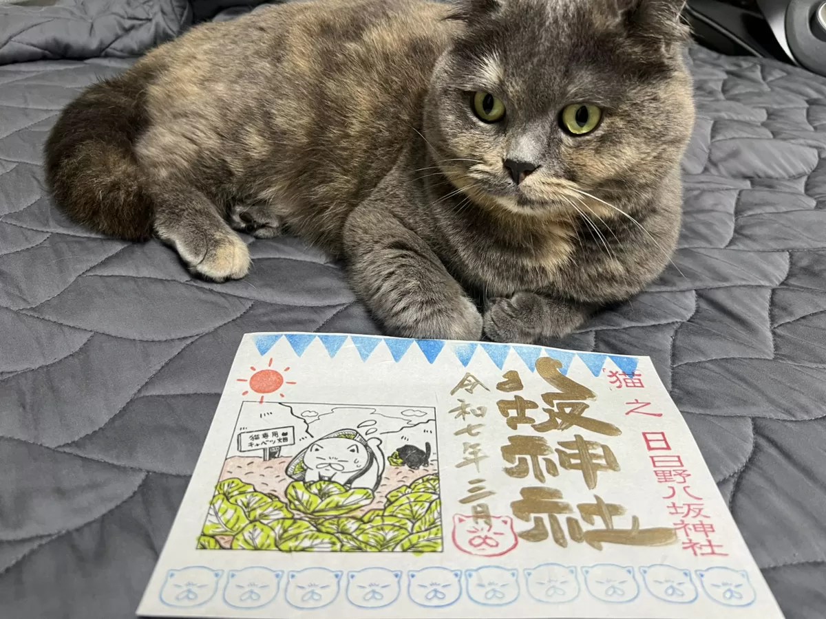 【にゃんこ大好き】　可愛らしい猫さんオールスター　御朱印です 猫好き必見】日野八坂神社の猫御朱印がにゃんとも可愛いにゃ