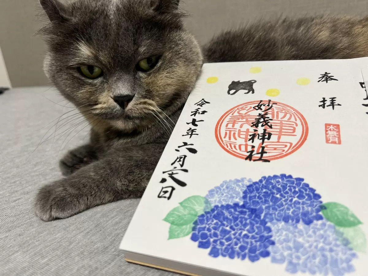 ●駒込　妙義神社　7月御朱印入り　猫づくし　御朱印帳　大判 猫が教える駒込:妙義神社の猫御朱印！歴史・見所・看板猫