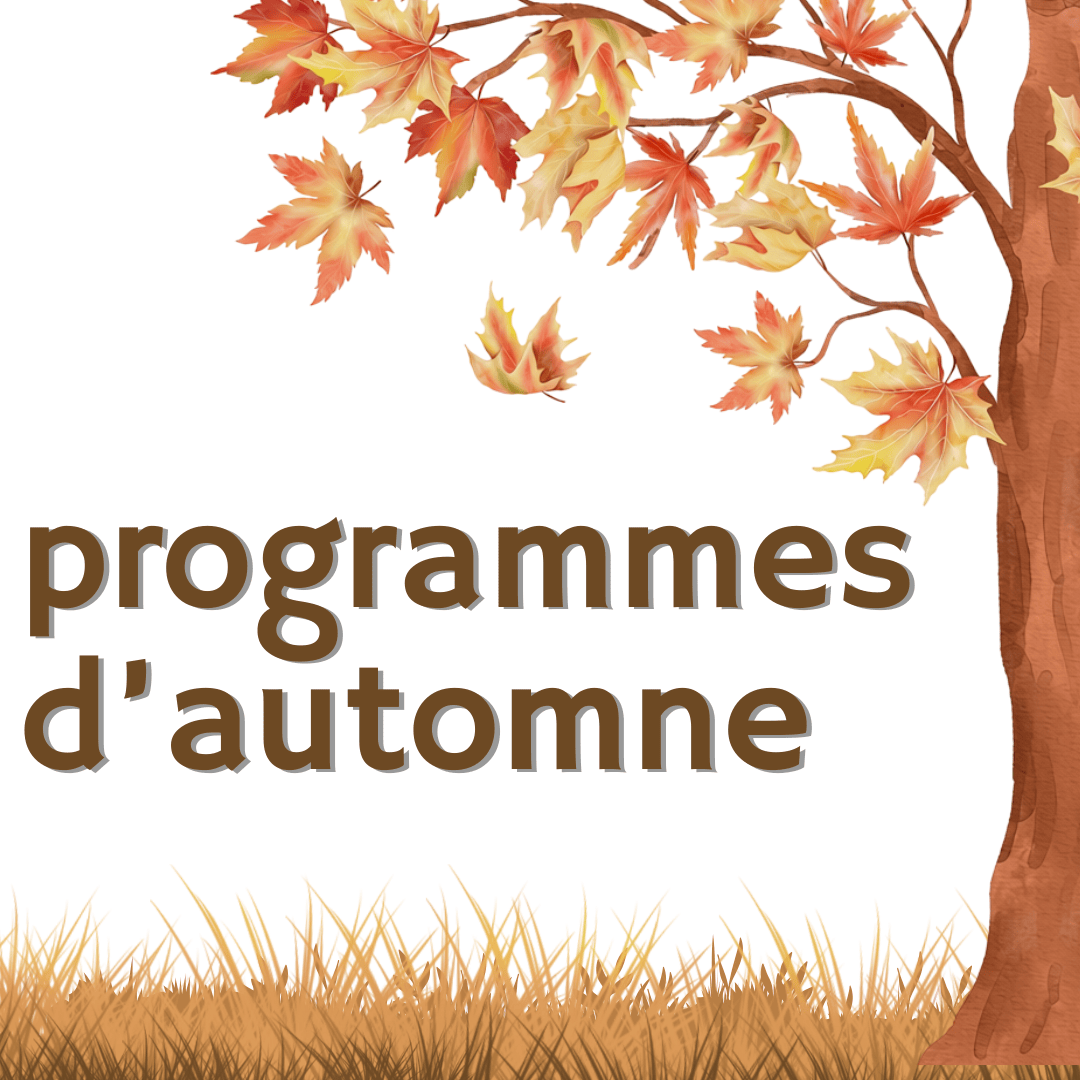programmes d'automne