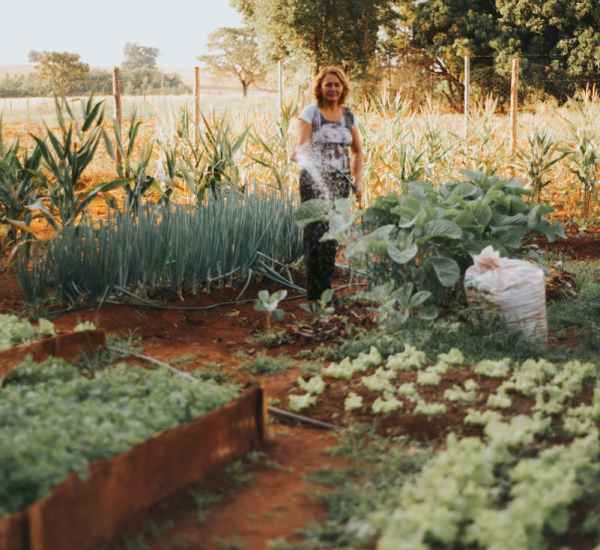 Adult woman tending to a vegetable garden surrounded by lush greenery during summer.
