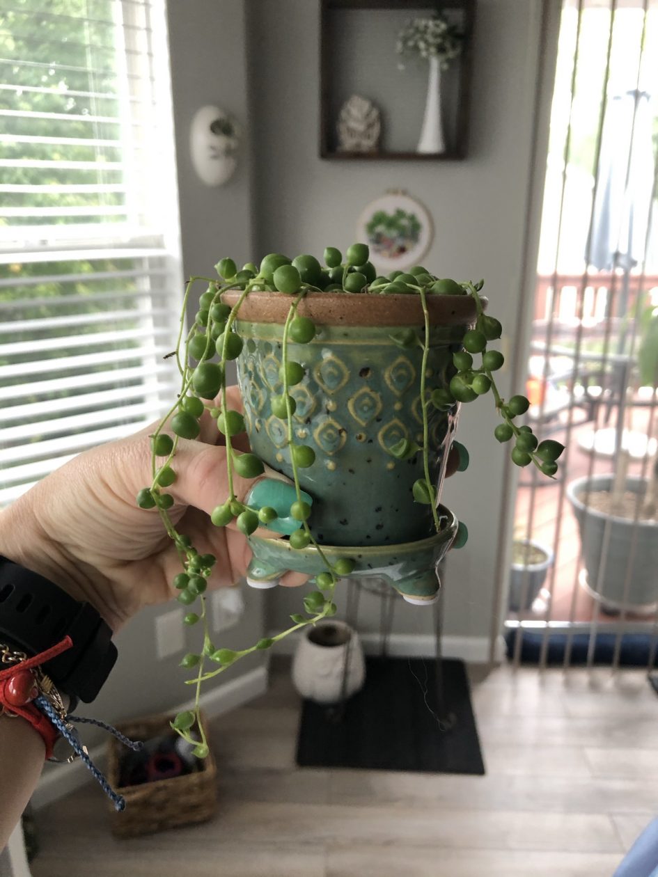 String of Pearls