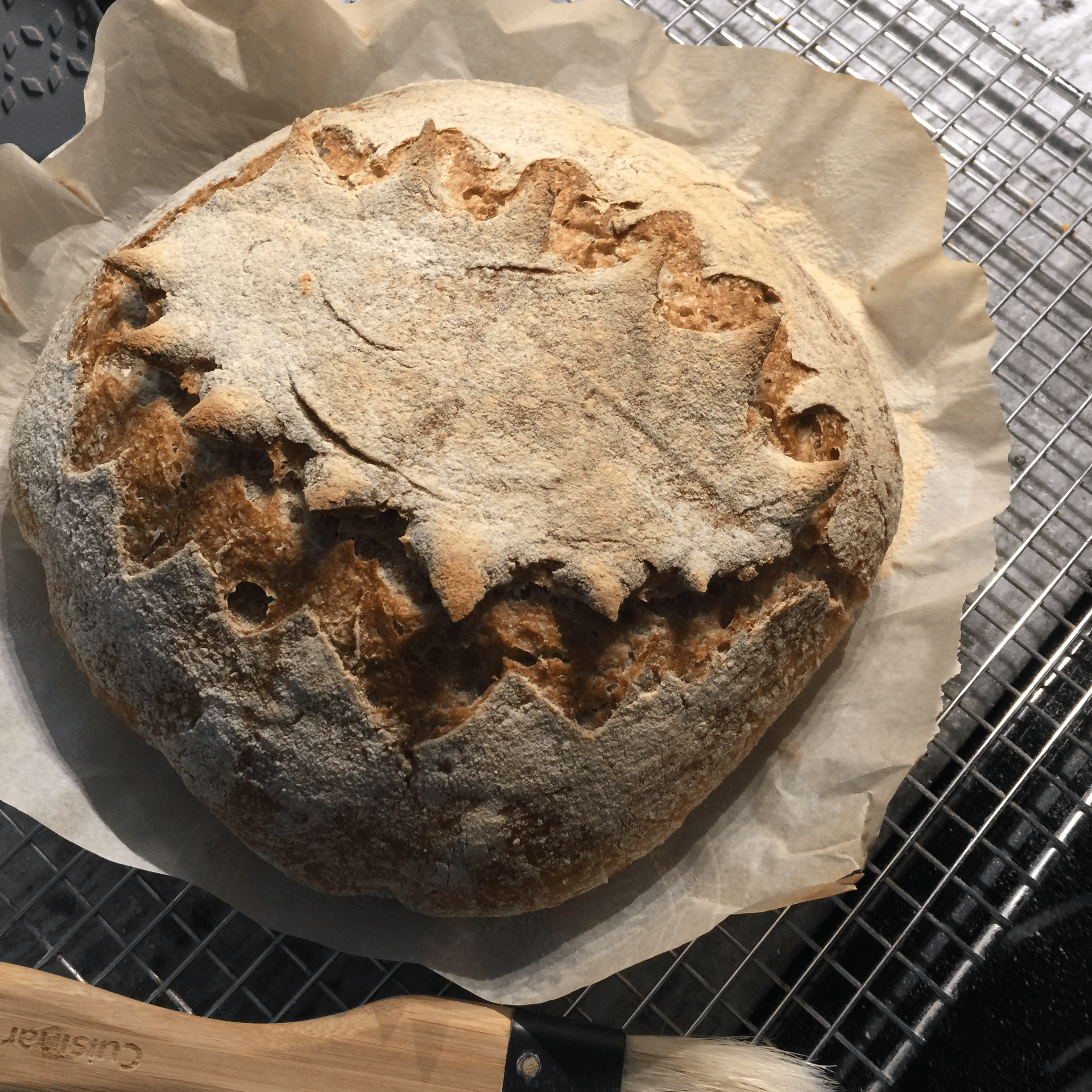 One more snip each side might've stopped cracking.