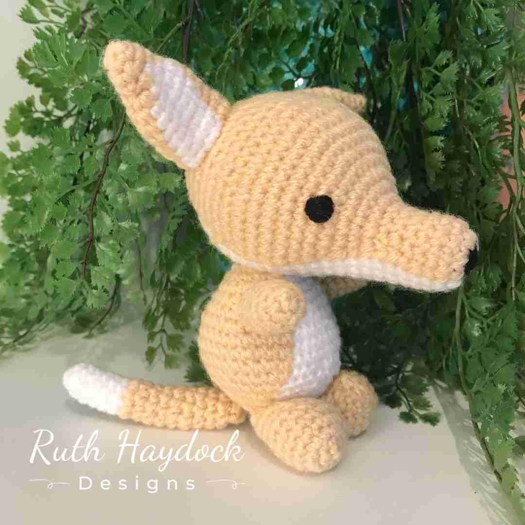 Darcy the Dingo Ruth Haydock 3