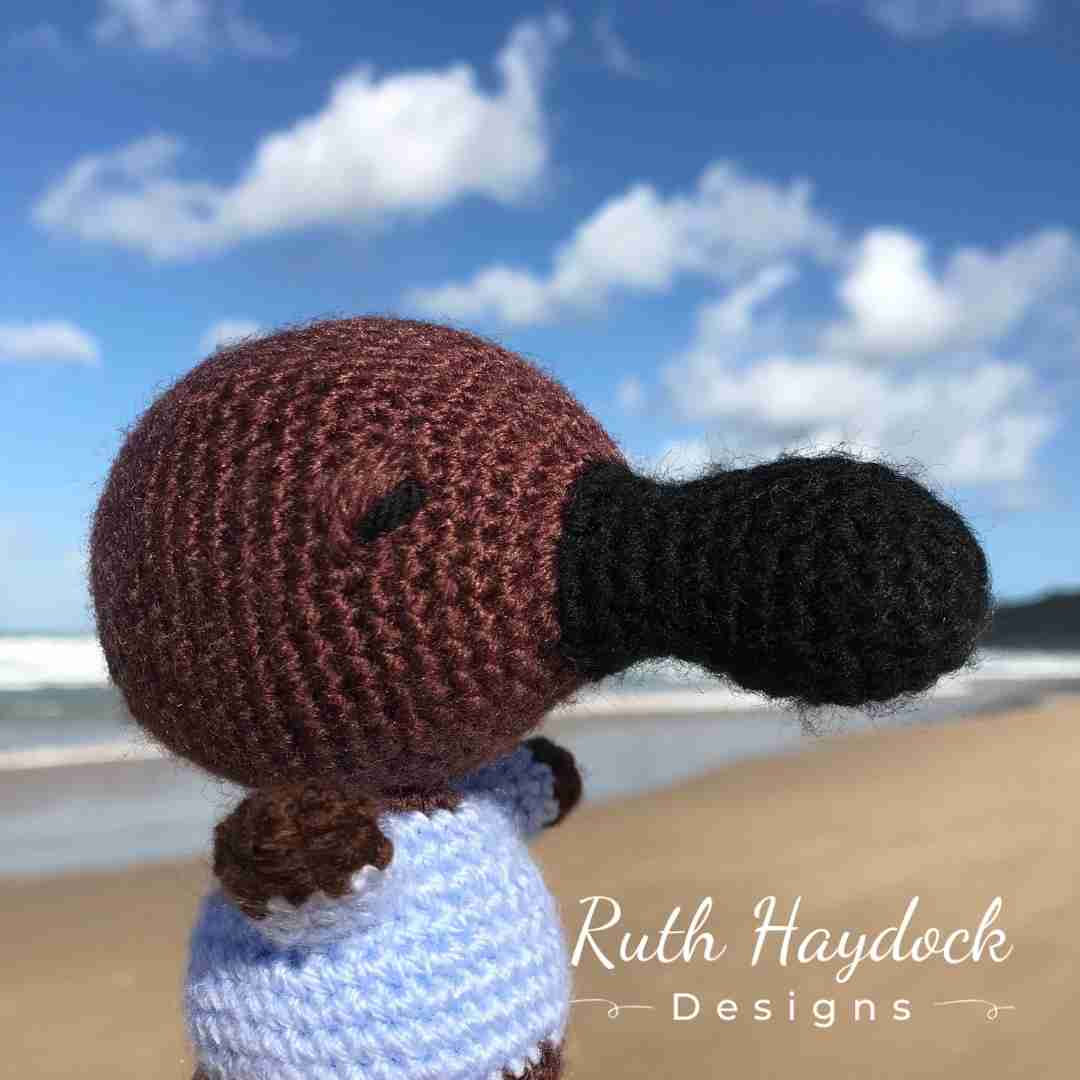 Pam the Platypus Ruth Haydock 2