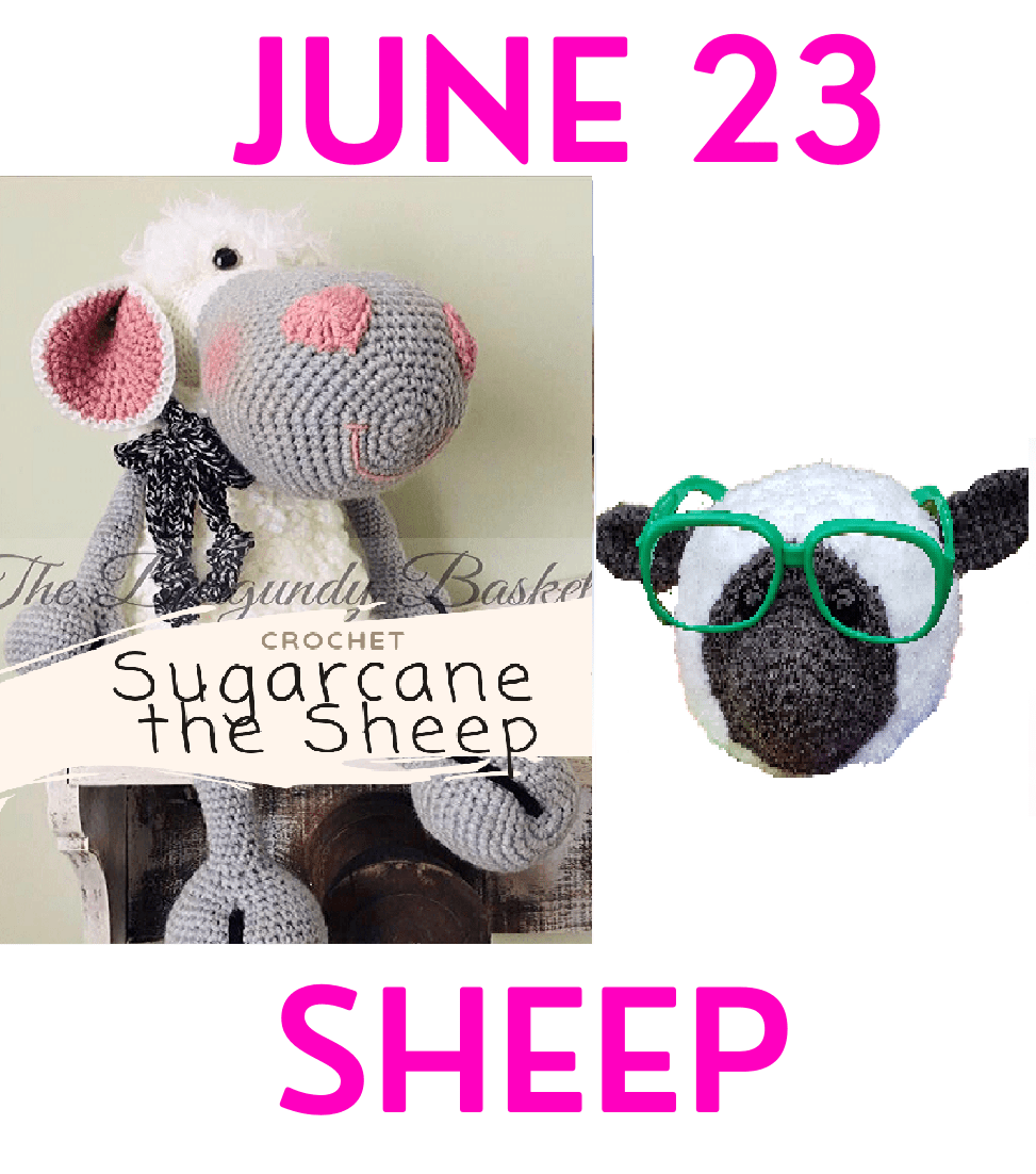JUNE 23 Sheep