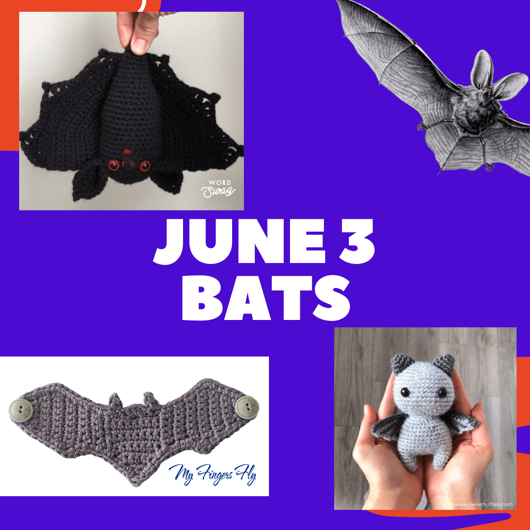 June 3 bats