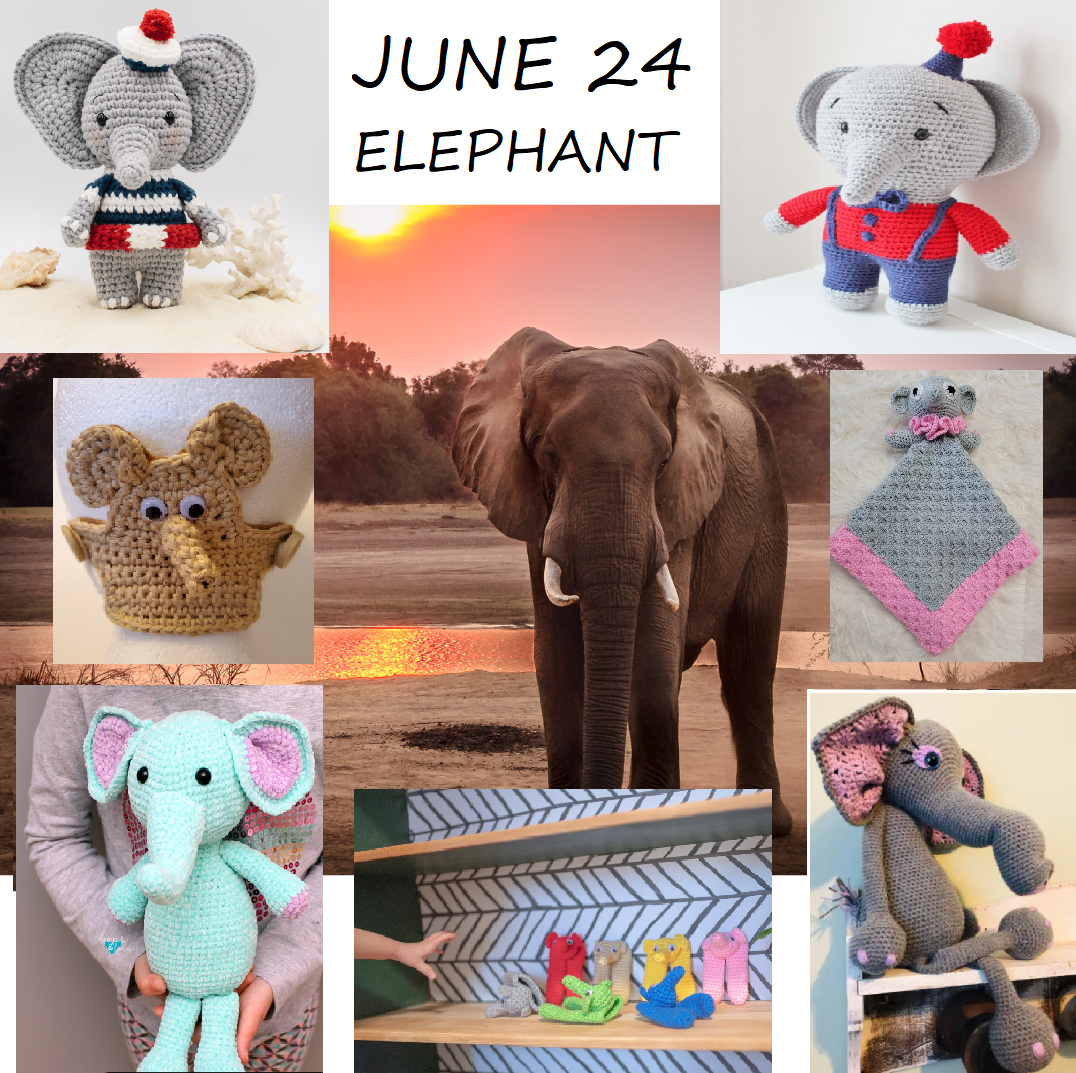 jUNE 24 Elephants