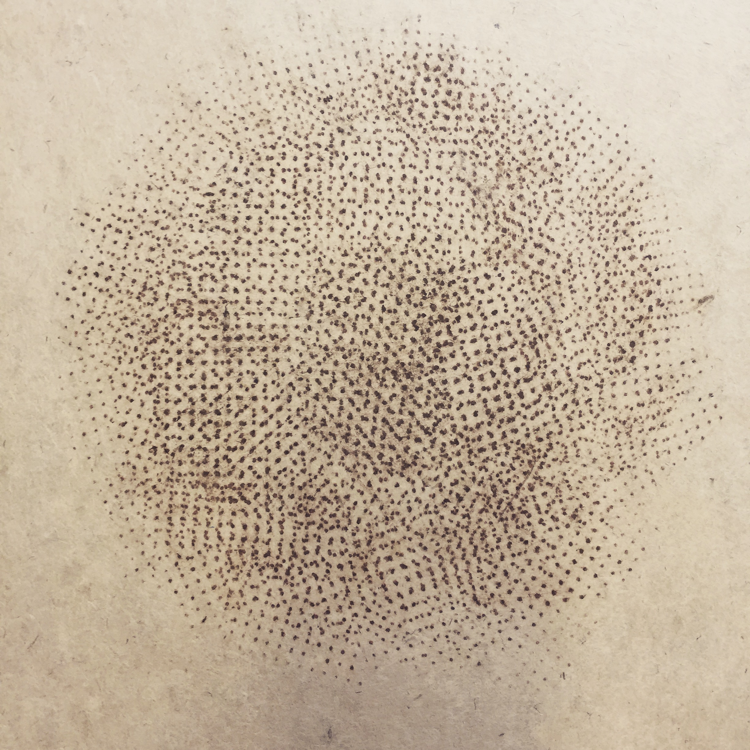 Ruth Singer Criminal Quilts /Staffordshire Record Office