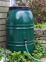 Rain Barrel