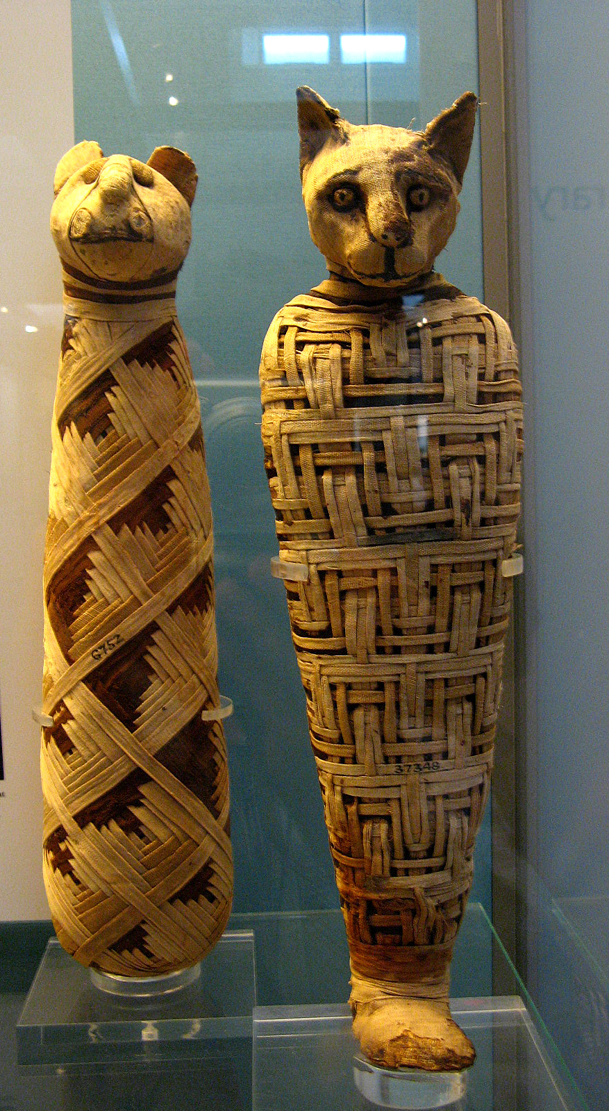 Momies de chats d’Égypte