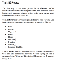 The BIBS Process Is Simple, But Not Easy [BIBS]