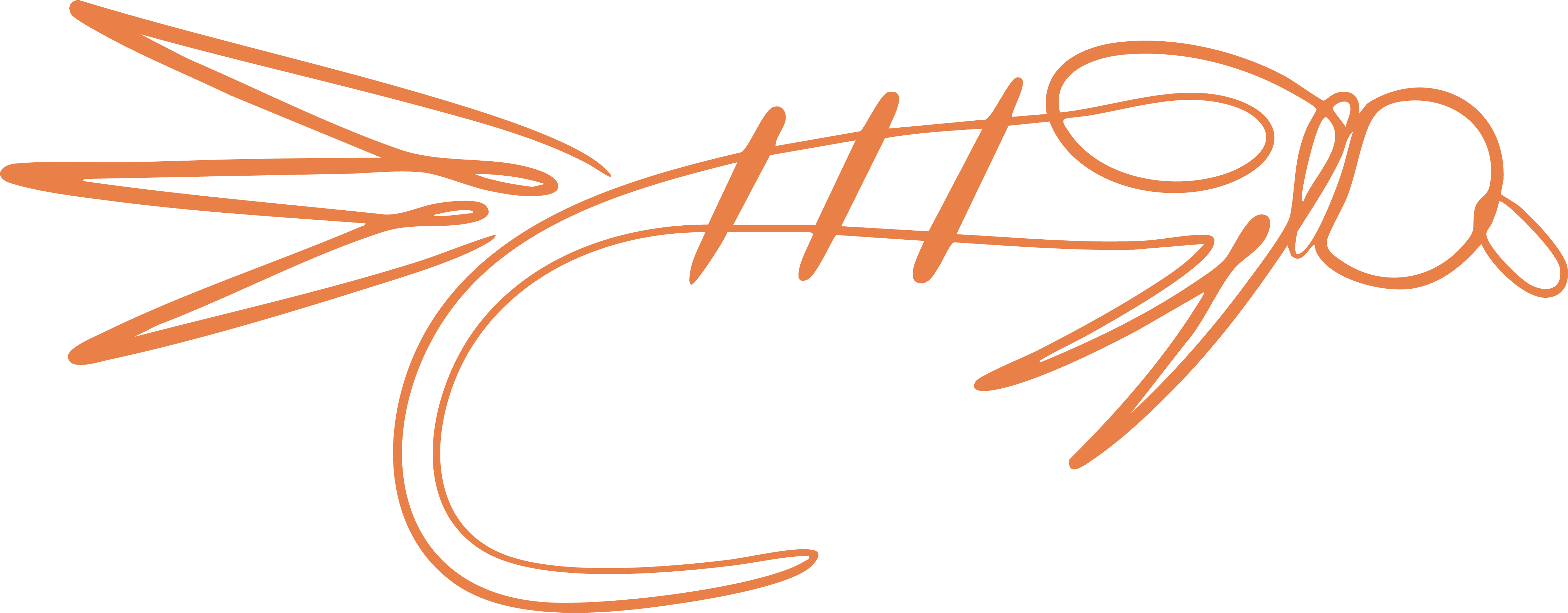 Pheasant Tail fly logo