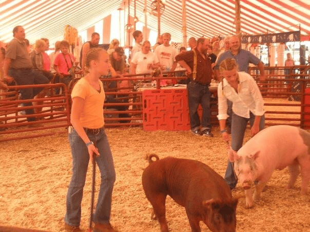 4h throwback