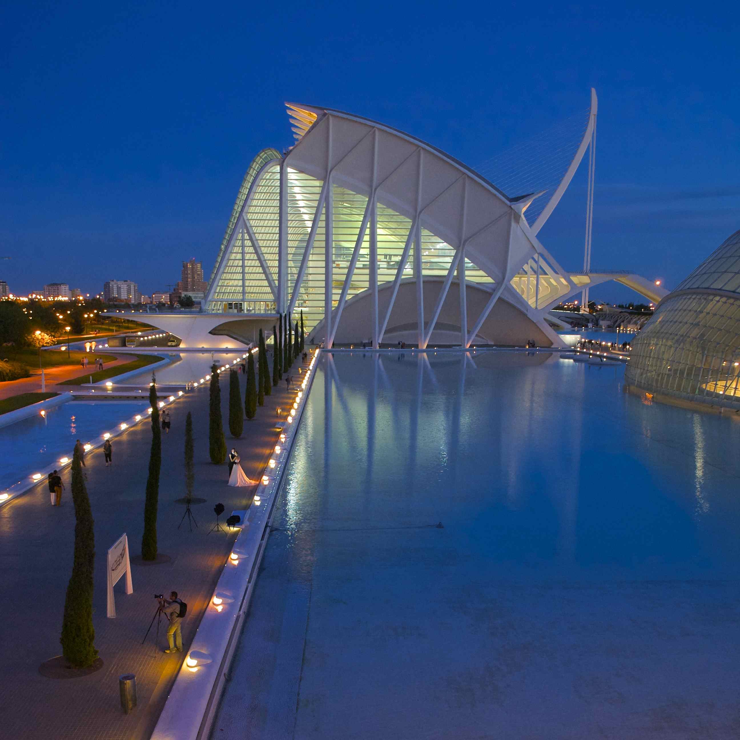 Look at the happy couple.