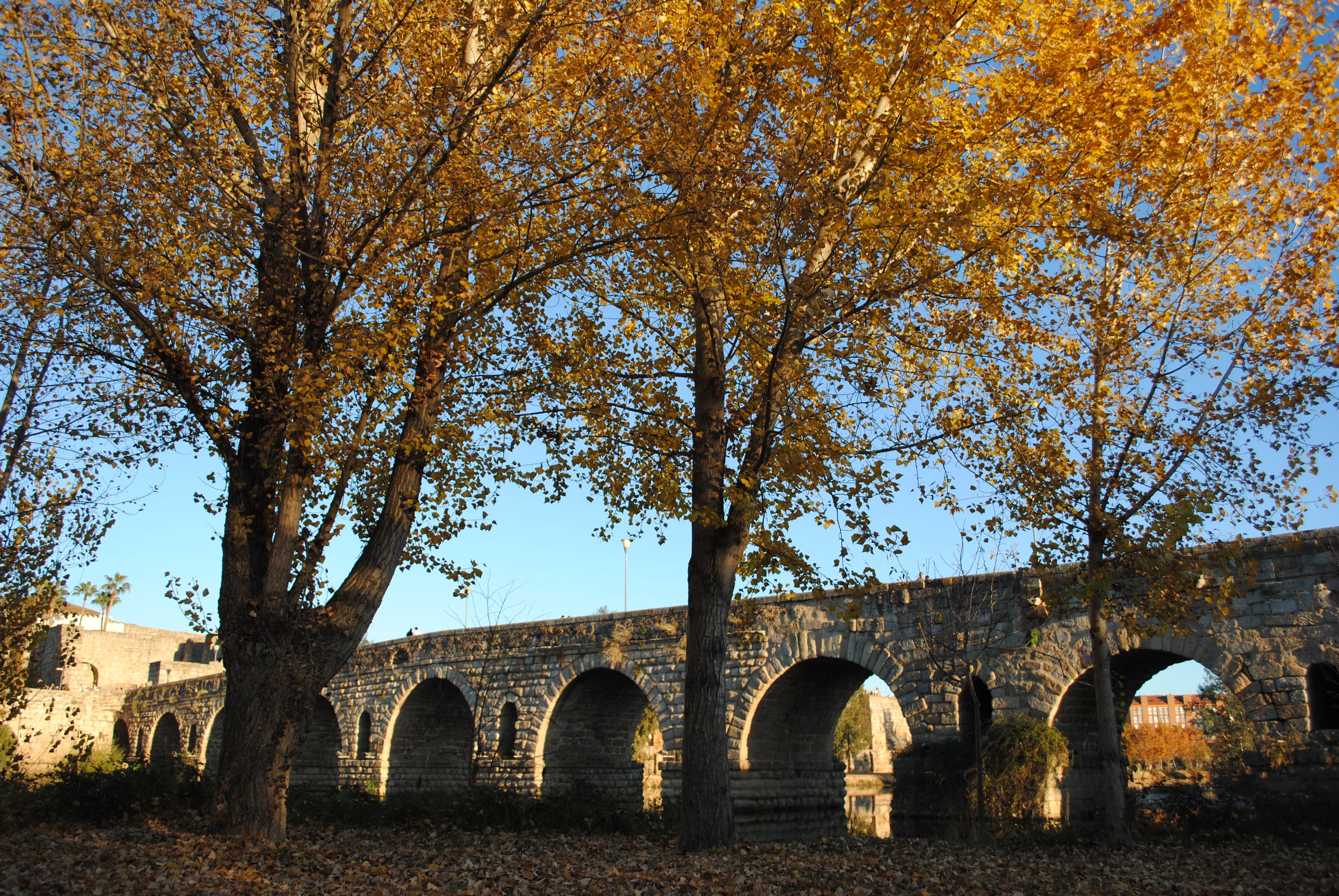 Merida Bridge & Trees