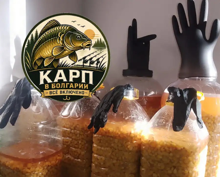 Ферментированная кукуруза на карпа: натуральная альтернатива бойлам