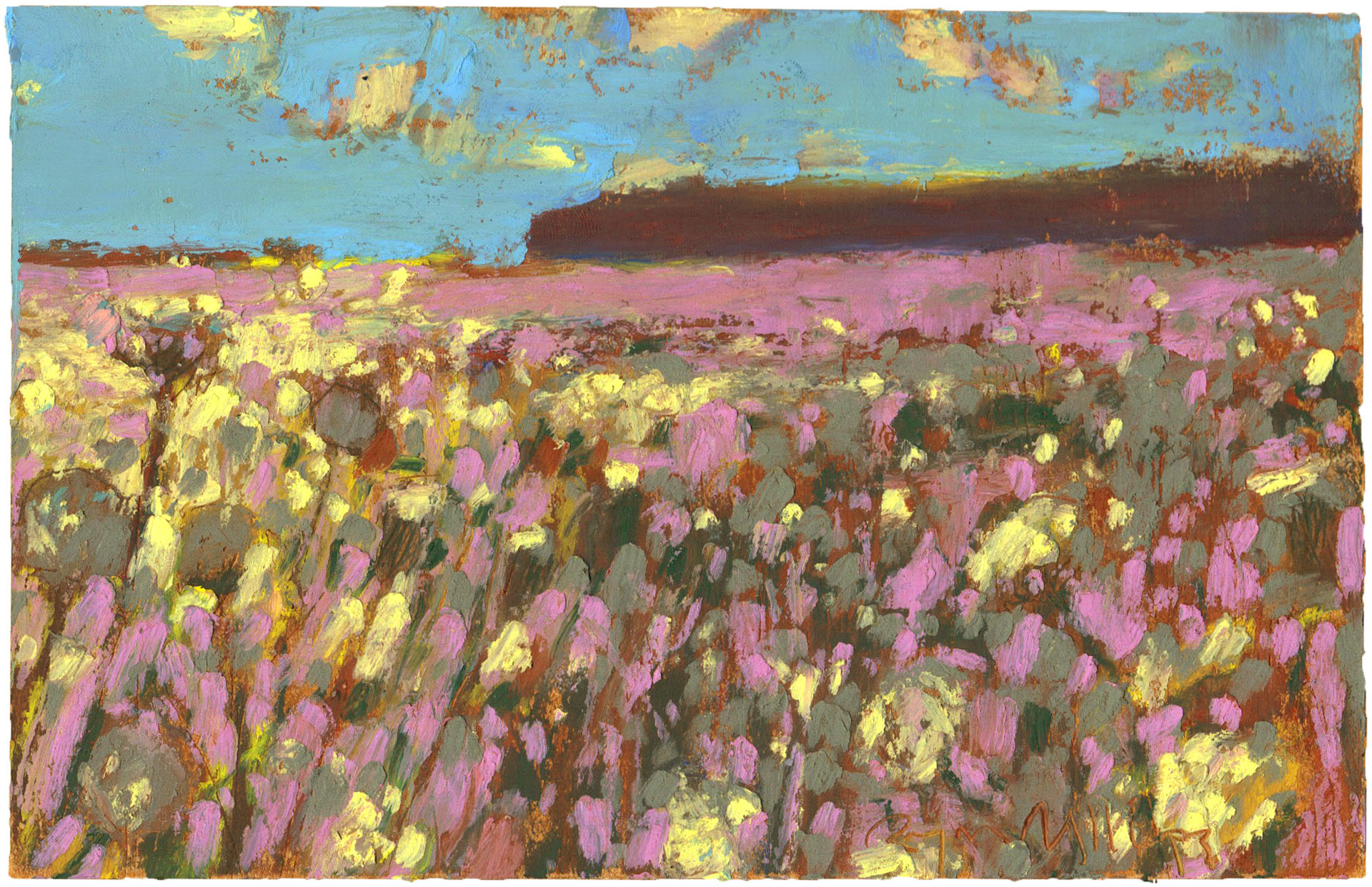 Raspberry-Laced Field