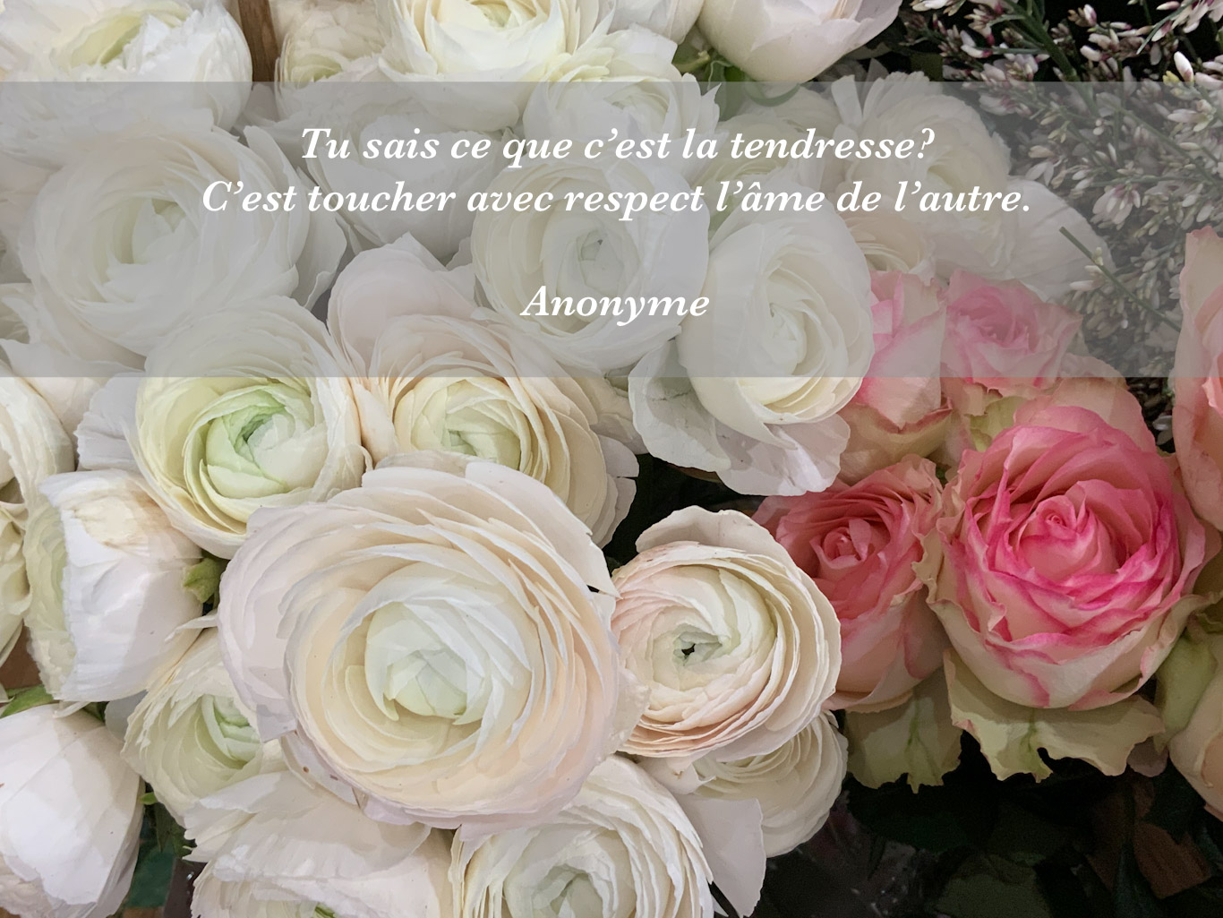 L'objet De Ma Tendresse Plein de tendresse - J 243 du défi 365 j. de photos zen - S'élever par