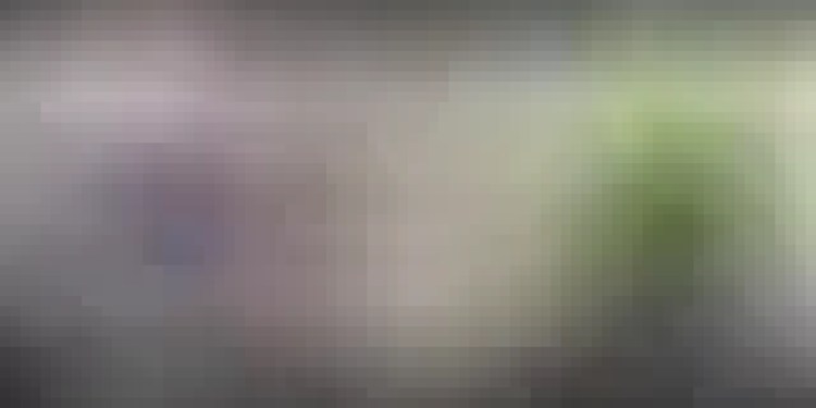 Video: Max On The Attack. How Can McLaren Fight Back? | 2025 US GP Review | F1 Nation Podcast