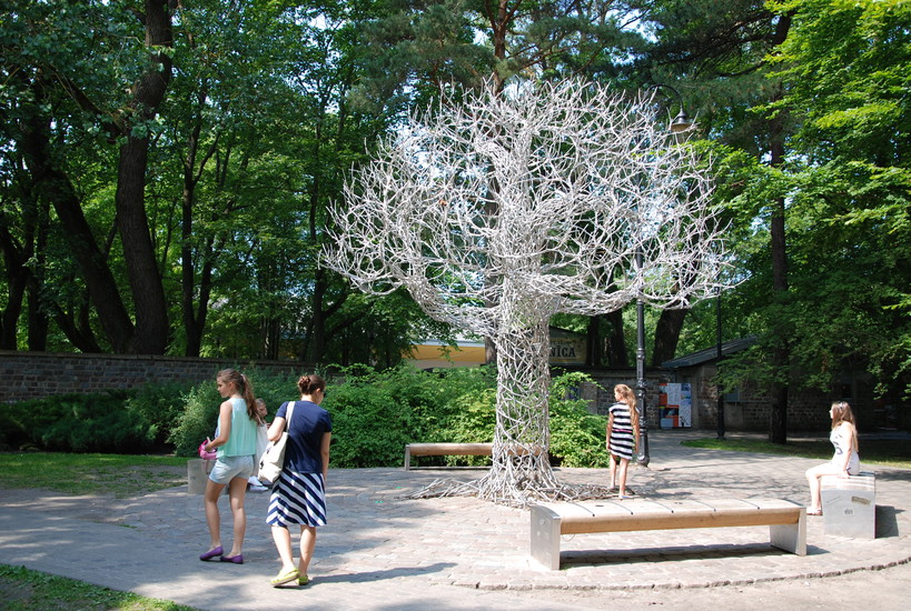 The Ghost Tree Tadoba Andhari Tiger Reserve Maharashtra India