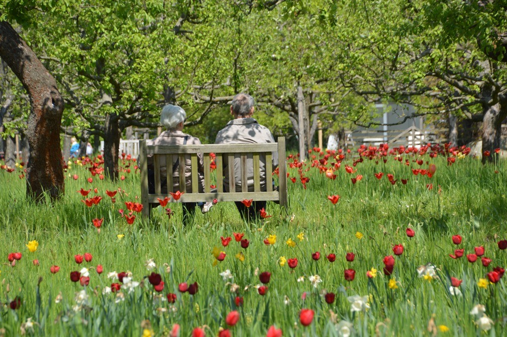 Die Schonsten Garten Deutschlands Britzer Garten Berlin