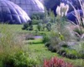 Botanischer Garten Zurich The Story Behind The Picture