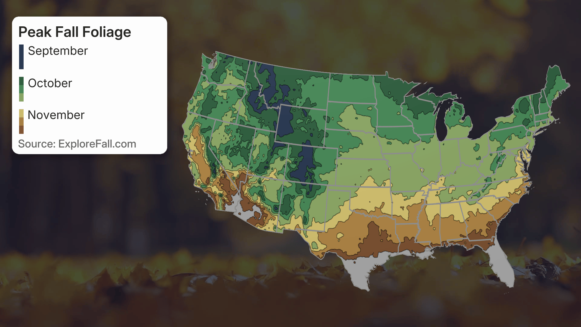Fall Foliage Map Tracker Current Status And Peak Times Weather Com 2025 Peak Fall Foliage Map 