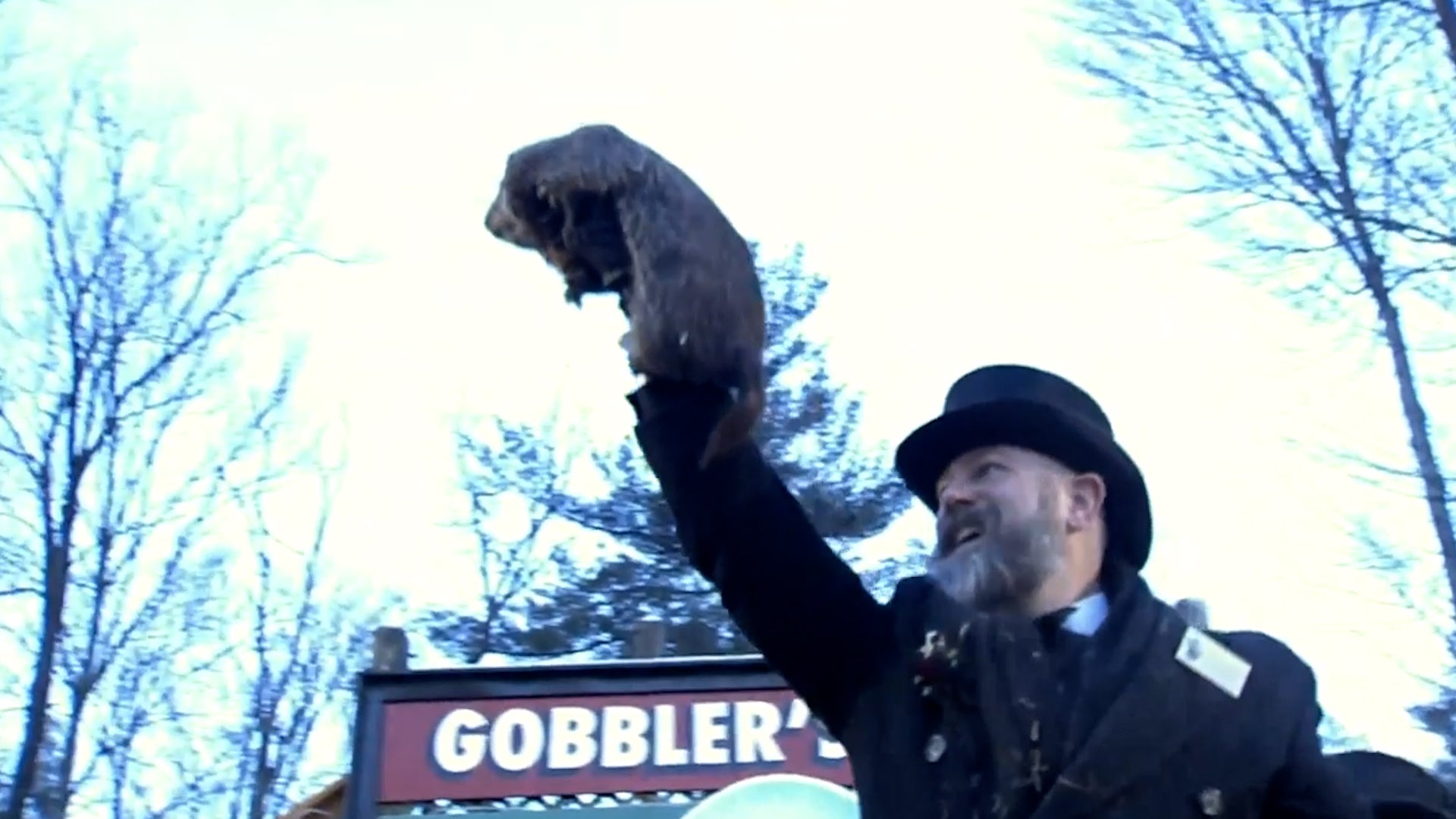 Can These Animals Really Predict Winter Weather Videos From The