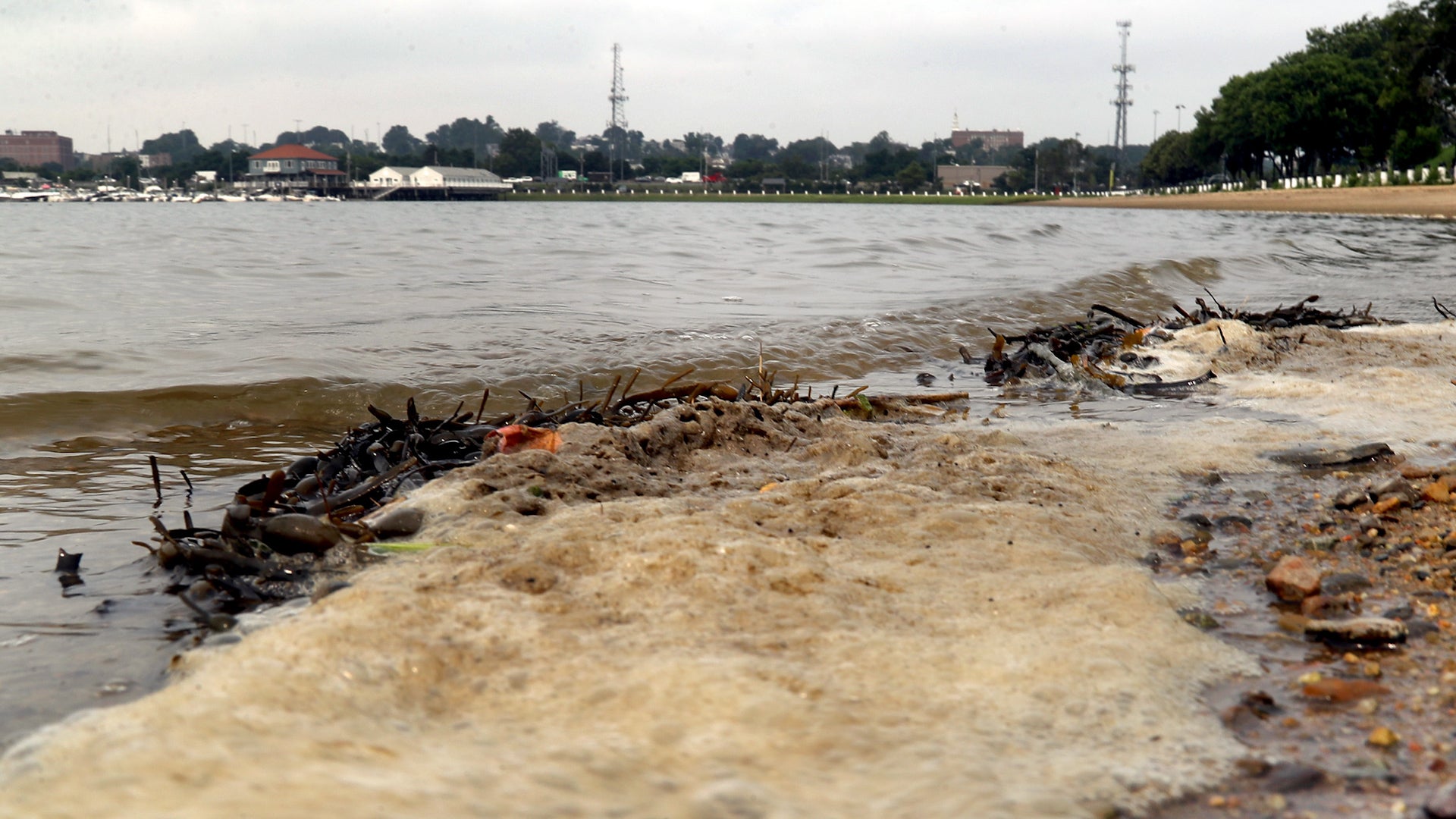 Severe Weather Updates Tidelines - Perfect Colorful Background - 4K