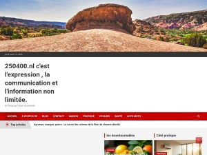 Information non limitée : chance historique ou nouveau défi ?