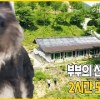 baixar 전기도 없는 🚫입산 통제 구역🚫에 사람이 산다?! 오지 마을에 가꾼 부부의 산골 꽃밭 🌿 | 부부의 산골 꽃밭 | KBS 인간극장 2018 방송 mp3