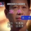 baixar 蔡小虎-放手(官方KTV版) mp3