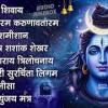 baixar शिव भक्ति भजन : कर्पूर गौरम करुणावतारं, आशुतोष शशाँक शेखर, नमामि शमीशान, ॐ नमः शिवाय, शिव अमृतवाणी mp3