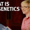 baixar What is Epigenetics? - with Nessa Carey mp3
