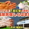 baixar 【湯野浜温泉】温泉民宿しらはま屋、天喜紅蟹が美味しい！ mp3