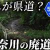 baixar 【神奈川】今も通行止めの県道？神奈川の廃道・未成道5選【ゆっくり解説】 mp3