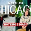baixar O QUE FAZER EM CHICAGO: Roteiro 5 dias com preços! 2025 mp3