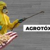 baixar UFSC Explica - Agrotóxicos mp3