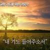 baixar 기도를 위한 경음악 