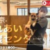 baixar 【LIVE】祝！西東京譲渡センターが完成しました！！！ mp3