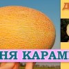 baixar ДЫНЯ КАРАМЕЛЬ - СКОРОСПЕЛЫЙ УСТОЙЧИВЫЙ К ПЕРЕУВЛАЖНЕНИЮ ПОЧВЫ СОРТ mp3