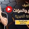 baixar تعليم اللغة العبرية من الصفر للمبتدئين - تعلم قواعد اللغة العبرية المذكر والمؤنث الجمع والمفرد mp3