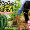 baixar [83 Years Old] A Day in the Life of Grandma Masa! Busy Farm Work from Early Morning mp3