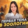 baixar Зоология ЕГЭ с нуля: простейшие I Умскул mp3