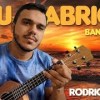 baixar MEU ABRIGO - MELIM - UKULELE mp3