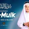baixar Soothing Quran Tilawat | Surah Al Mulk سورة الملك  | Viral Recitation By Abdullah Ahmed Shaaban mp3
