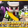 baixar 【#ドズル誕生祭2025】エンドラ討伐リレー2025【おんりー視点】 mp3